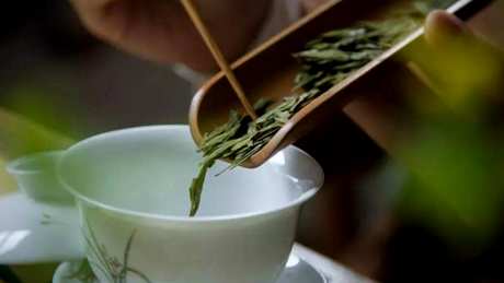 绿茶泡多久