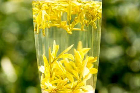 黄金芽属于什么茶？