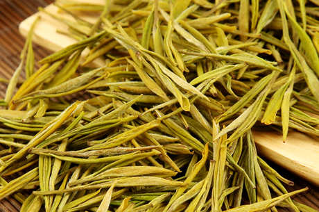 黄金芽属于什么茶？