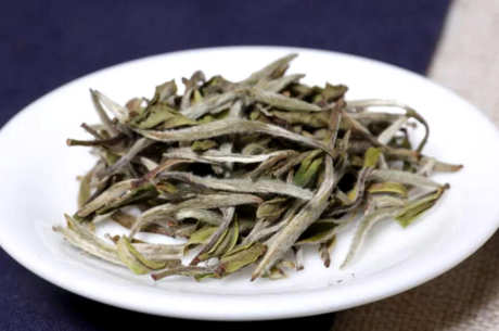 如何泡白茶是正确的方法