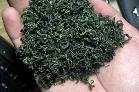 绿茶三年后还能喝吗？