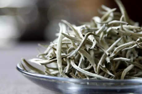 福鼎白茶产地哪个最好？