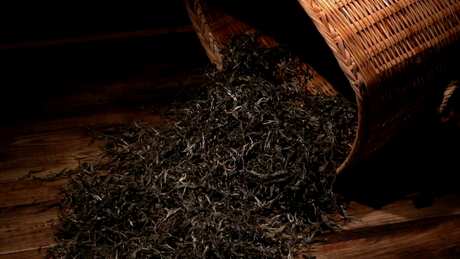 如何储存普洱茶饼？