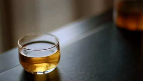 乌龙茶是凉还是温？