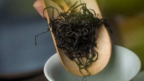 龙井茶是绿茶还是红茶