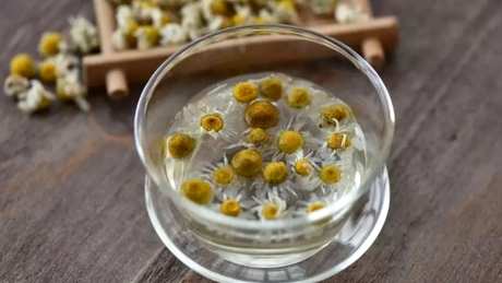 怎样泡菊花茶？