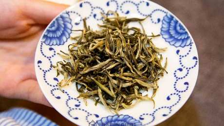 茉莉花茶属于什么茶？
