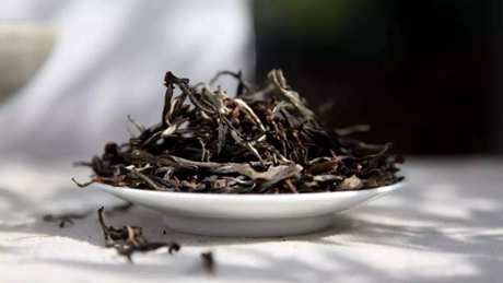 普洱生茶存放多久最好？