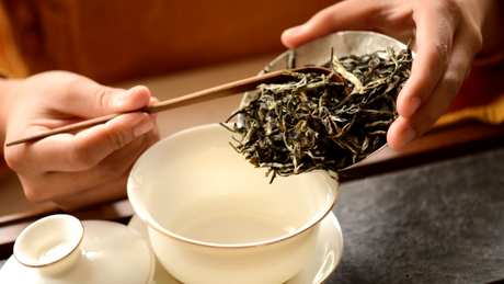 如何泡普洱茶