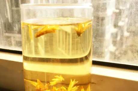 鹰茶是什么茶？