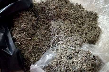 什么是莓茶？