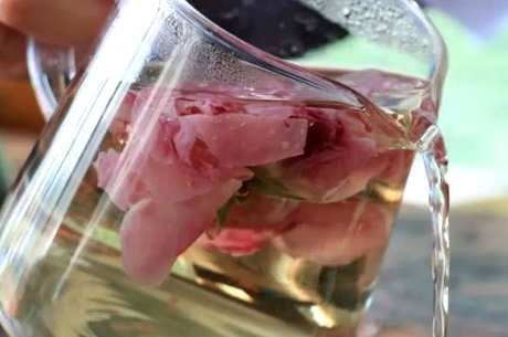 几朵玫瑰花泡茶
