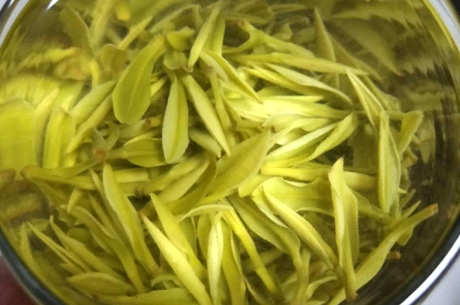 安吉白茶的味道特点是什么？