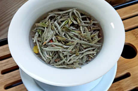 什么茶属于白茶？