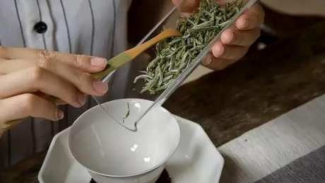泡茶白茶的正确步骤