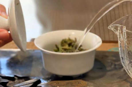 泡茶白茶的正确步骤