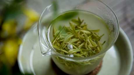 白茶是绿茶系列吗？