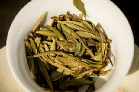 白茶要洗茶吗？