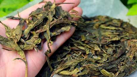 什么是普洱茶？