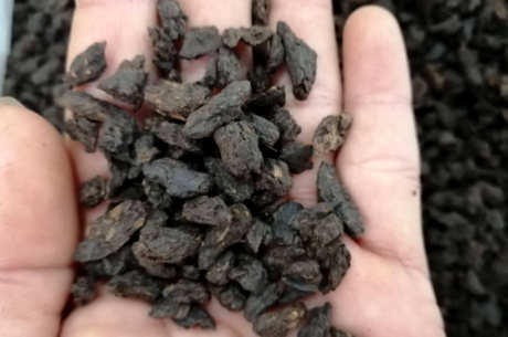 茶化石属于什么茶？