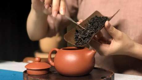 什么茶最好泡在紫砂壶里？