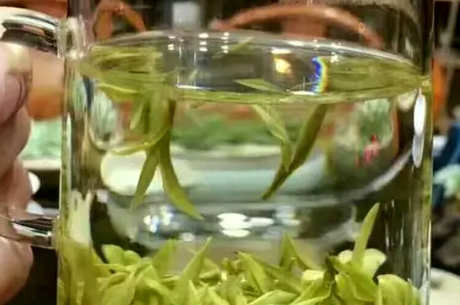 什么茶好喝