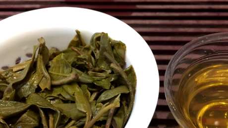 什么茶属于普洱？