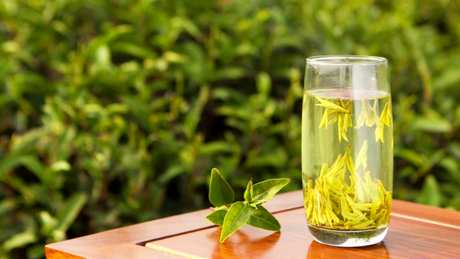 茶是什么茶？