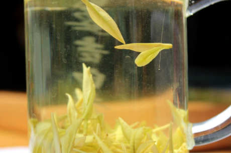 什么茶属于黄茶？