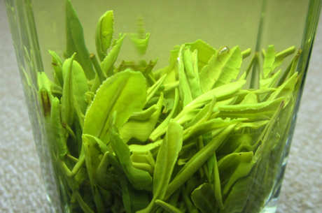 什么茶适合夏天喝？