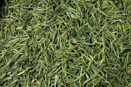 野茶属于什么茶？