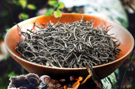 野茶属于什么茶？