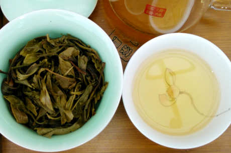 如何泡普洱生茶？