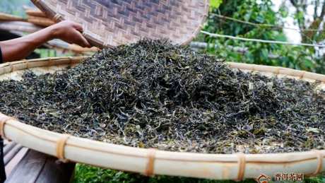 倚邦普洱茶的特点
