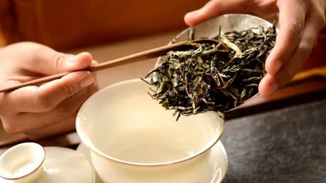 普洱生茶怎么泡得更好？