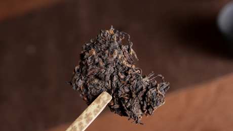红茶和普洱茶有什么区别？