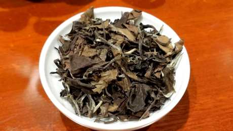 什么茶适合蒸茶器？