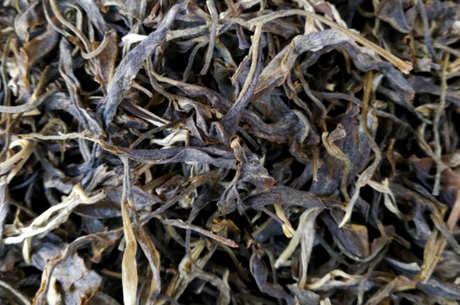 大雪山普洱茶的特点