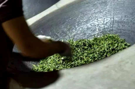 生产普洱茶的步骤