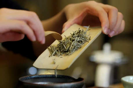 冲泡白茶的方法