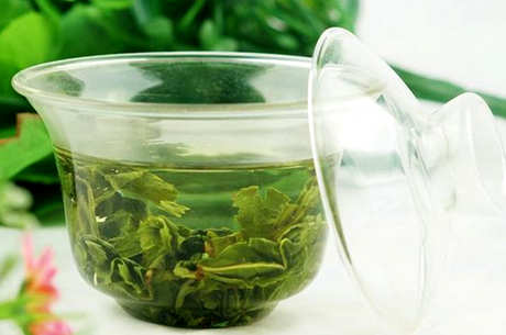 铁观音属于乌龙茶吗？