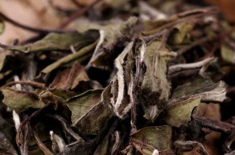 夏天喝白茶好还是喝绿茶好？