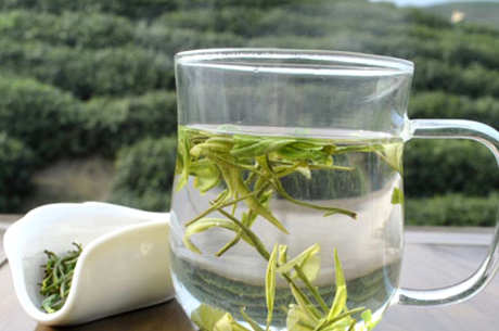 夏天喝白茶好还是喝绿茶好？