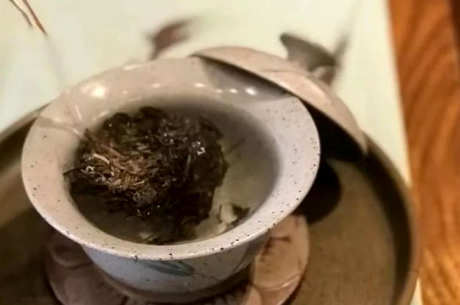 怎样泡普洱茶？