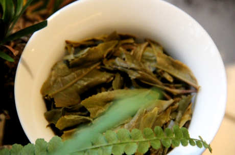 普洱茶会过期吗？