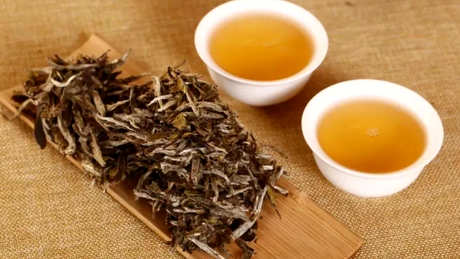 红茶不同于普洱茶