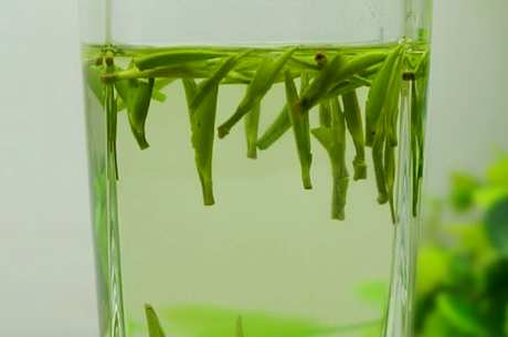云尖是绿茶吗？