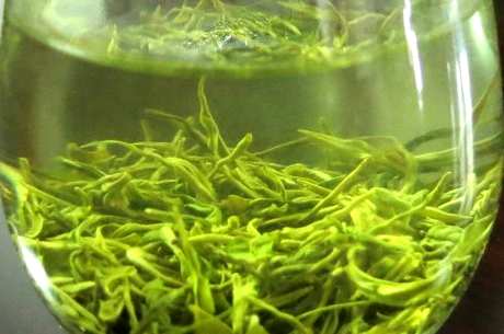 云尖是绿茶吗？