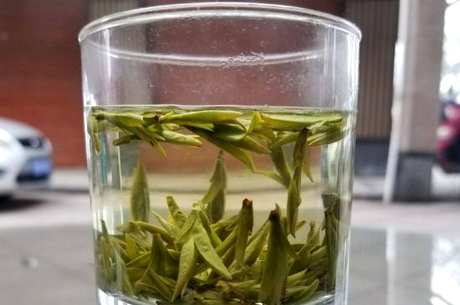 龙井茶是绿茶吗？