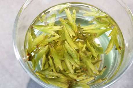 龙井茶是绿茶吗？